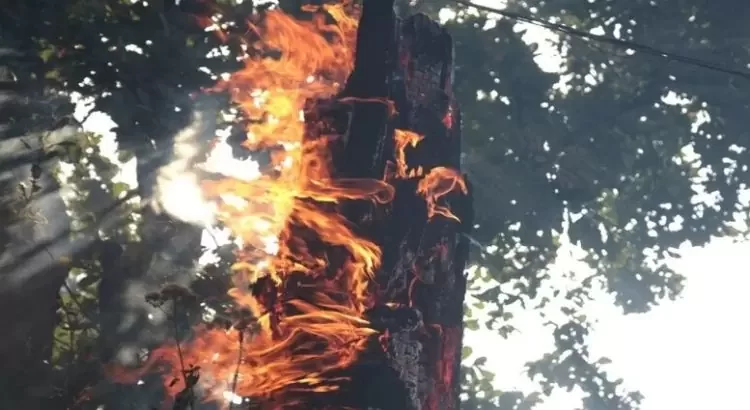 Incendio forestal en Querétaro, desalojan a 250 personas