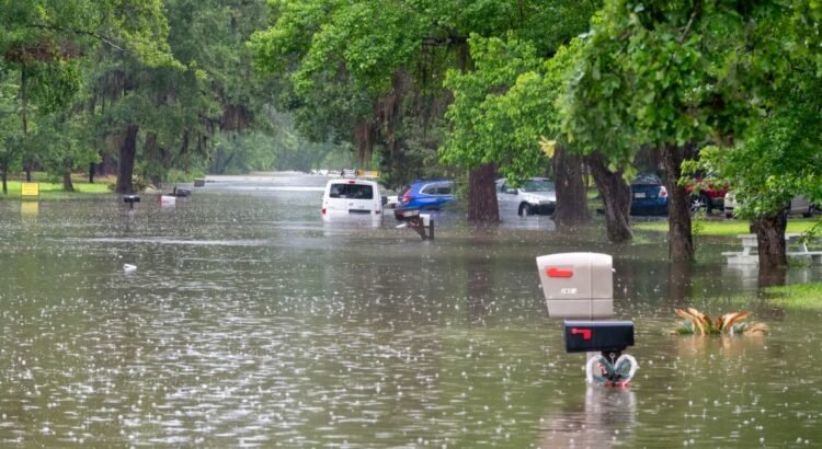 Tormentas eléctricas devastan el sureste de Texas: cuatro muertos y casi 900,000 afectados por cortes de energía Tormentas eléctricas devastan el sureste de Texas: cuatro muertos y casi 900,000 afectados por cortes de energía