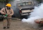 Reportan 67 casos positivos de dengue en el estado de Querétaro