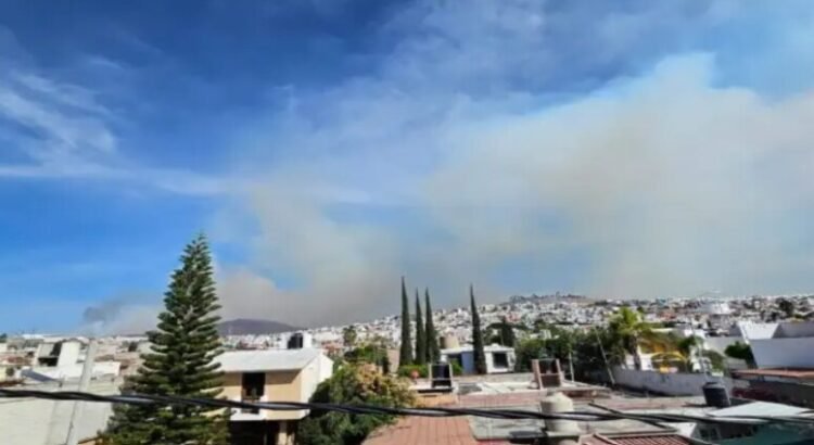 Incrementa el incendio en área natural protegida El Tángano, Querétaro