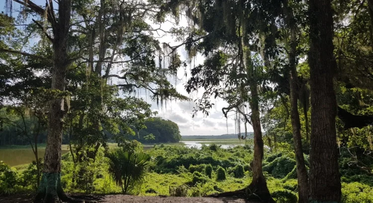 Destinos turísticos deben ver a la naturaleza como una inversión: Conanp