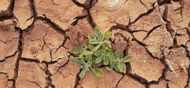 Se dirige el planeta hacia un catastrófico calentamiento de 2.5°C advierte la ONU