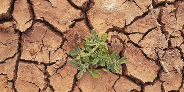 Se dirige el planeta hacia un catastrófico calentamiento de 2.5°C advierte la ONU