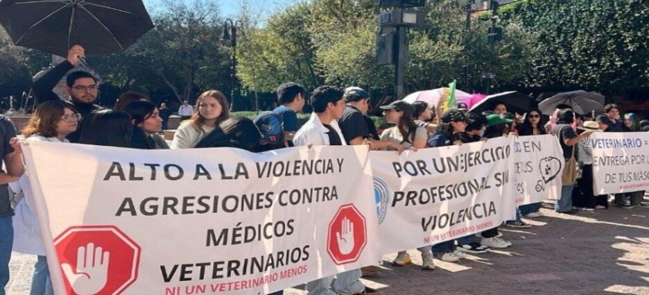 El 70% de los médicos veterinarios han sufrido agresiones en el estado de Querétaro