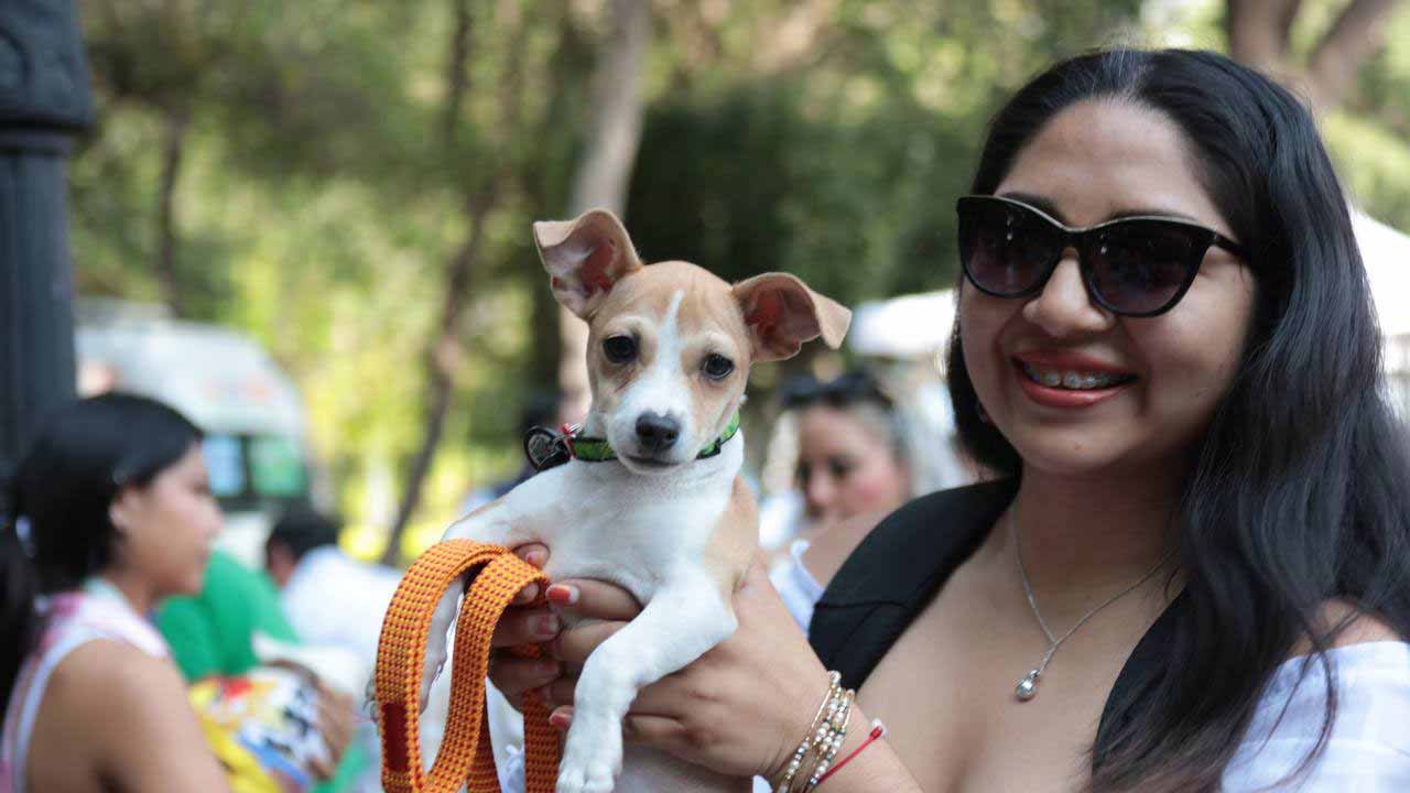 Querétaro alista jornada para facilitar el traslado de mascotas en Qrobus